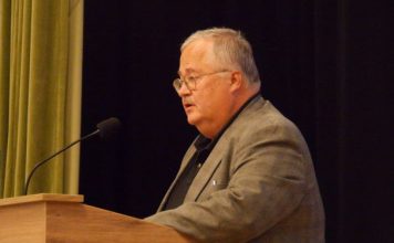 Algis Avižienis: Kam reikia Lietuvos?